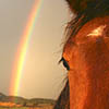 Double Rainbow