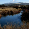 Our backyard. The Shasta River